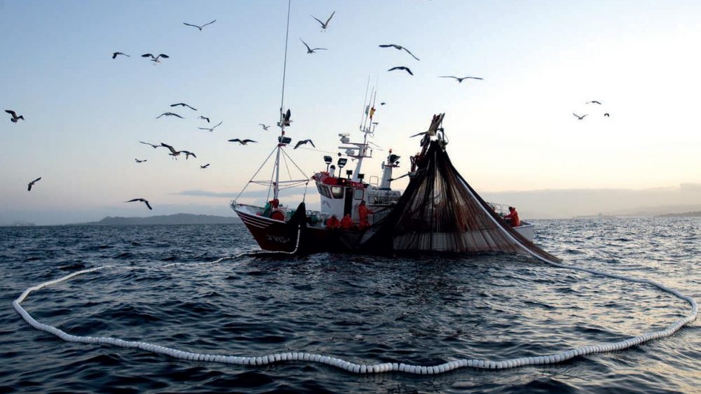 Dia mundial pesca -gremi peixaters-