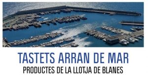 Capvespres del port i els tastets arran de mar a Blanes