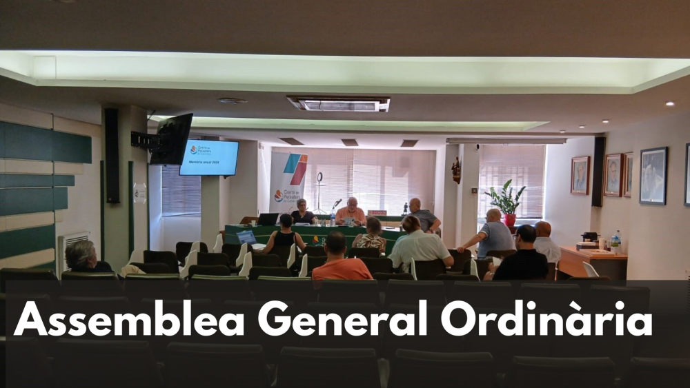 Assemblea_1