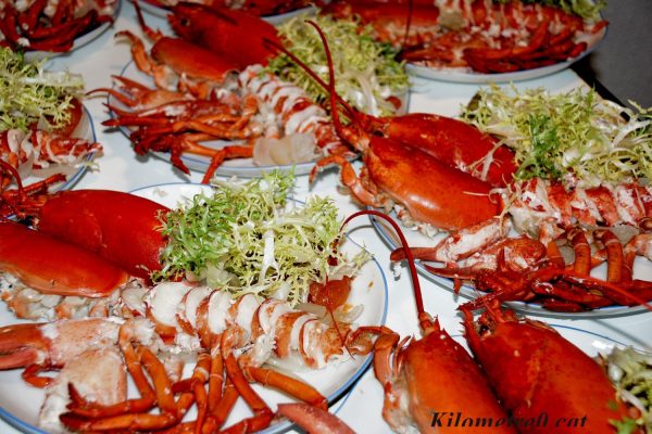 Llobregants a la mar