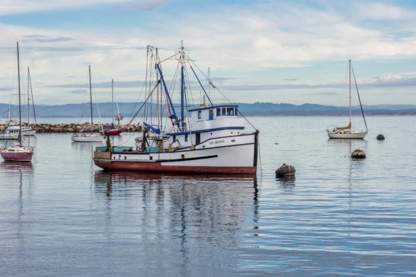 Pesca de arrastre en el mediterraneo