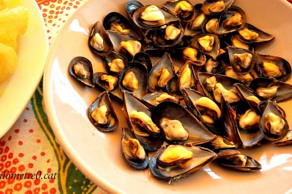 Musclos de roca en aigua de mar