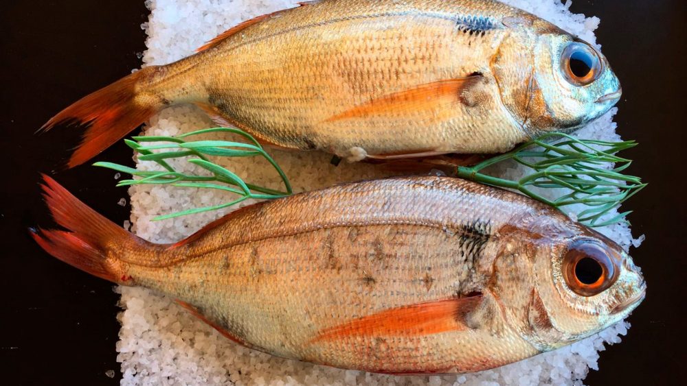 Calet a la sal amb fonoll marí